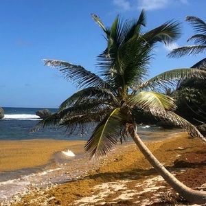 Meet your Posher, Aubrey